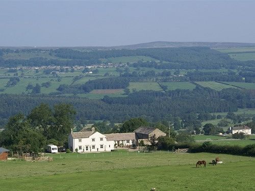 Bed and Breakfast Capple Bank Farm Wensley Zewnętrze zdjęcie